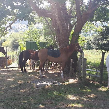 Apartamento Rural Zuri Cotorrio Bagian luar foto