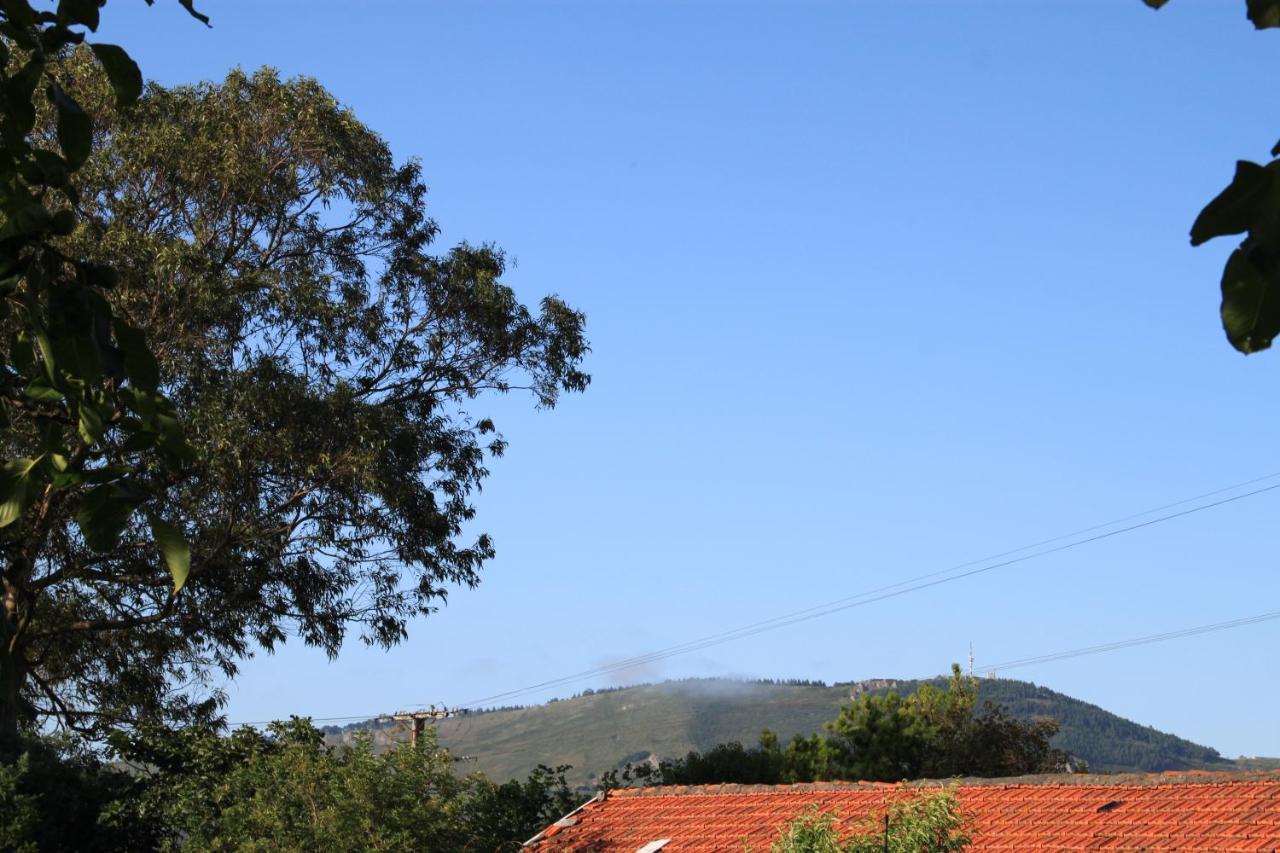 Apartamento Rural Zuri Cotorrio Bagian luar foto